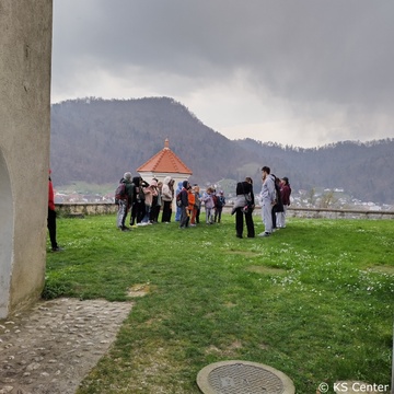 Cistilne akcije (35)